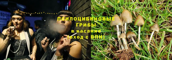 бутират Богородицк