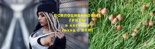 бутират Богородск