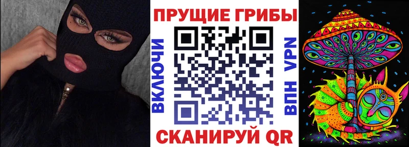магазин  наркотиков  Щучье  Галлюциногенные грибы Cubensis 